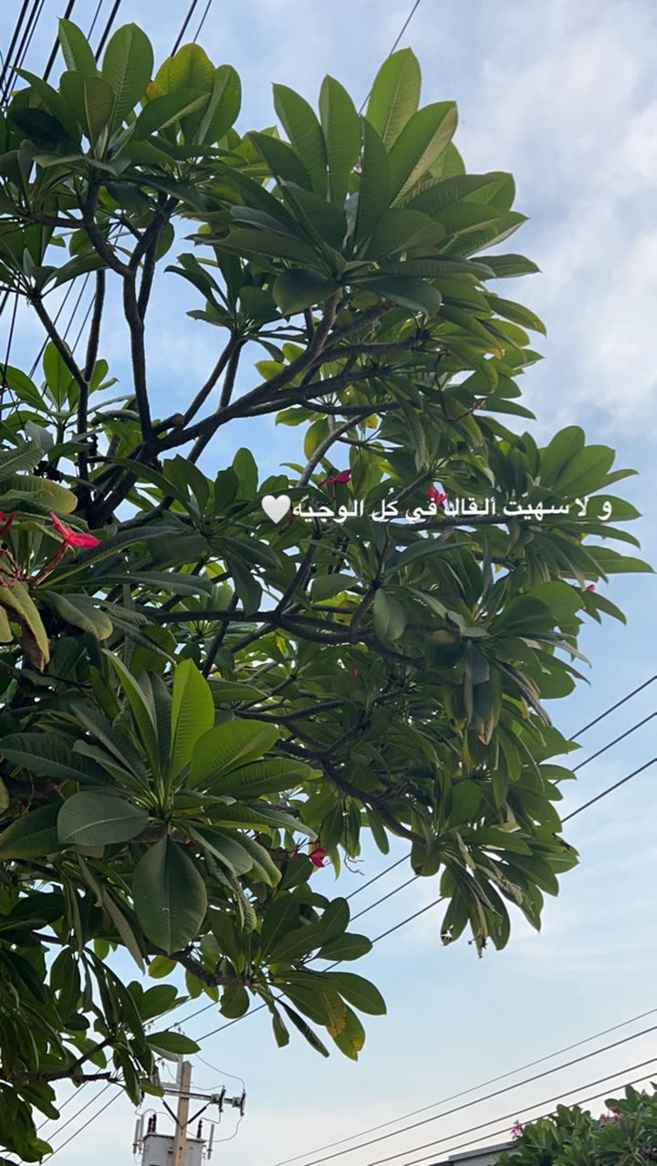 قصة سناب شات للحساب ks3 رقم 568