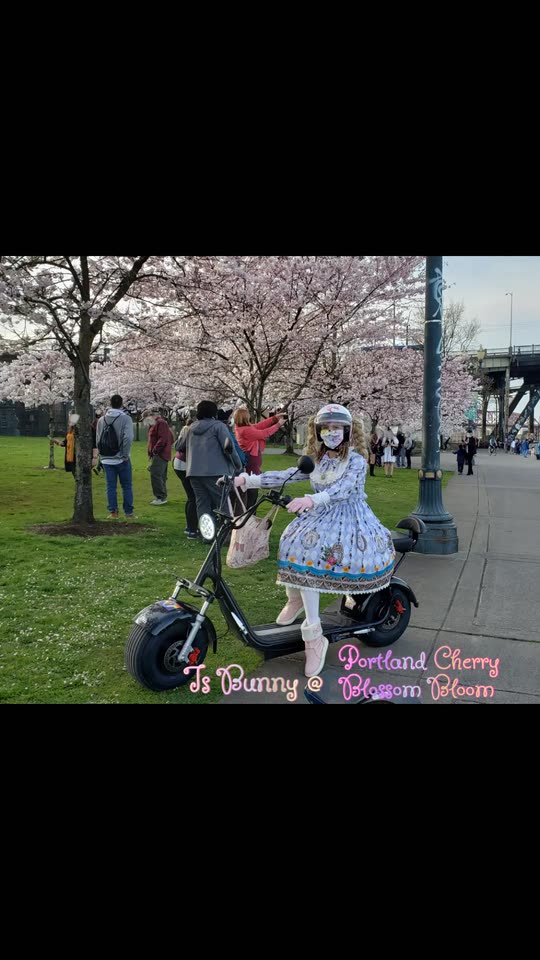 tsbunnypdx