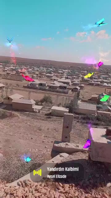 Preview for a Spotlight video that uses the Colourful Butterflies  Lens