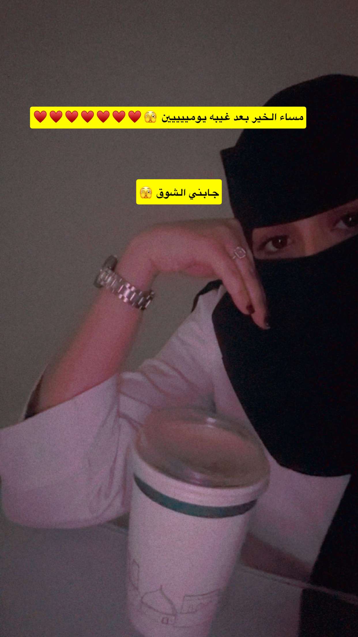 قصة سناب شات للحساب iiii46 رقم 15