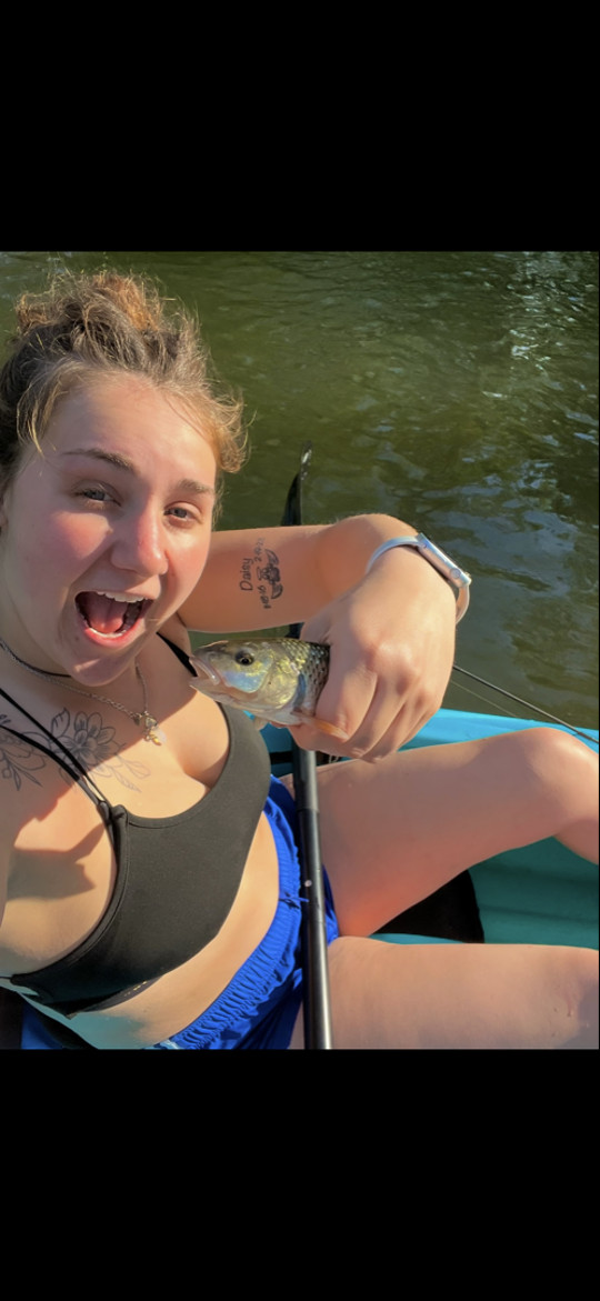 ggbhabie