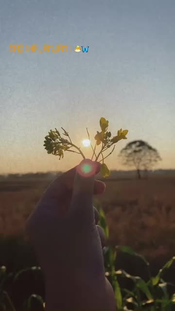 Preview for a Spotlight video that uses the beauty Grain Lens