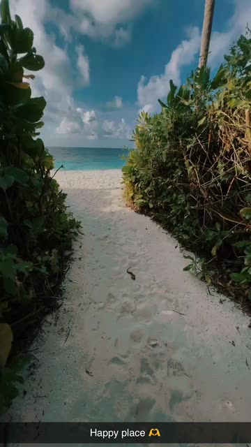 Preview for a Spotlight video that uses the Eroi Color IG Lens