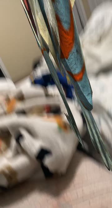 Preview for a Spotlight video that uses the 3D dinosaur Lens