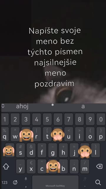 Preview for a Spotlight video that uses the Cat Video Call Lens