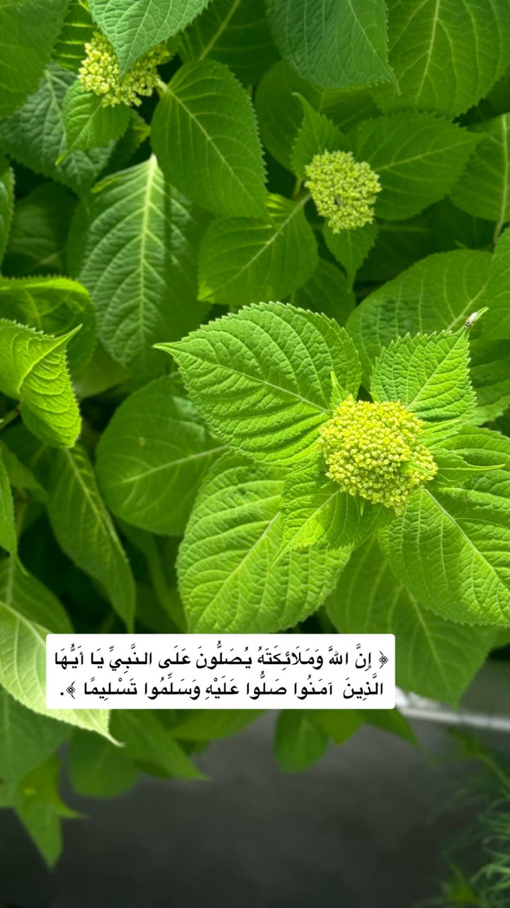 محتوى سناب شات لـ عفرا السويدي 🦋