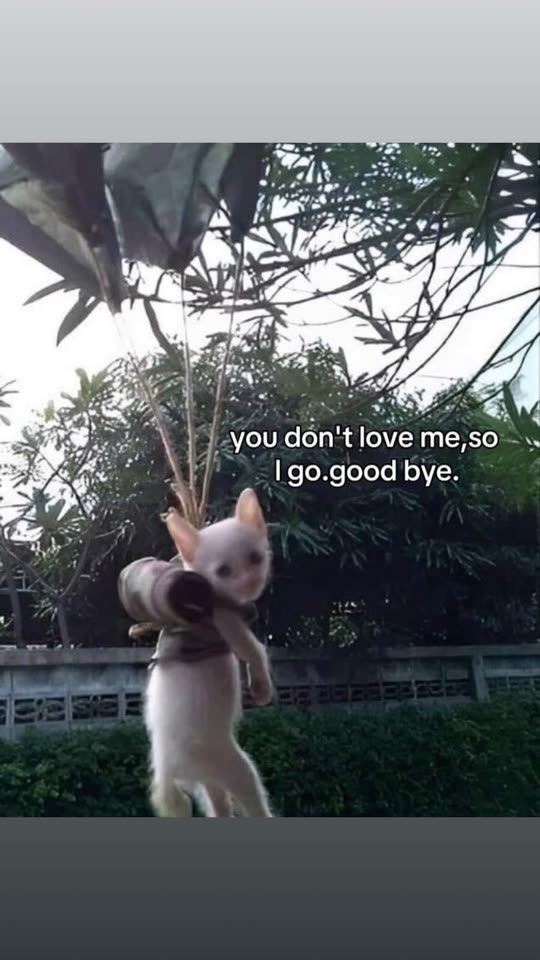 cherryyym00n