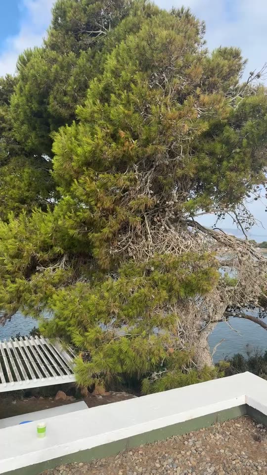 hayetaoula