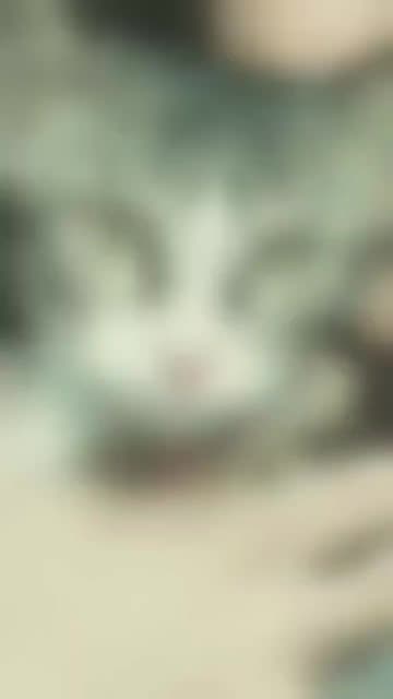 tannu_628