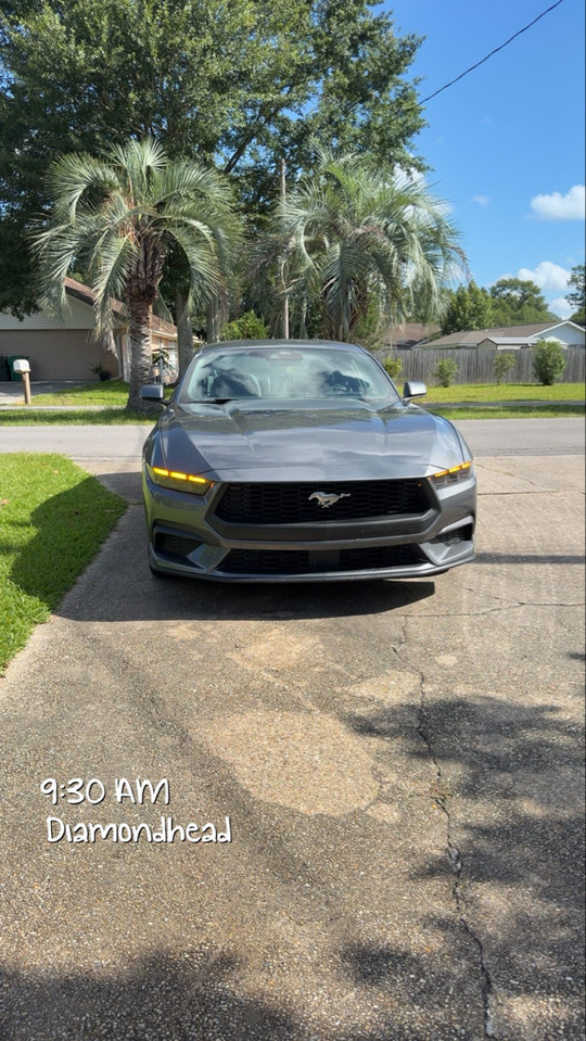nyellie129