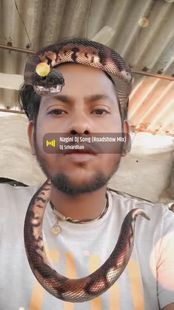 Preview for a Spotlight video that uses the Friendly Snake Lens