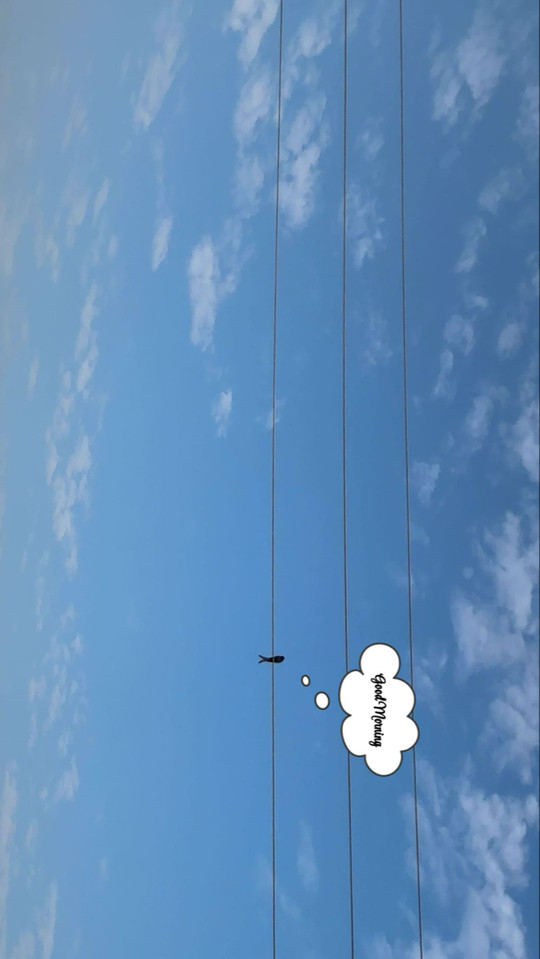 sh8ng.yue