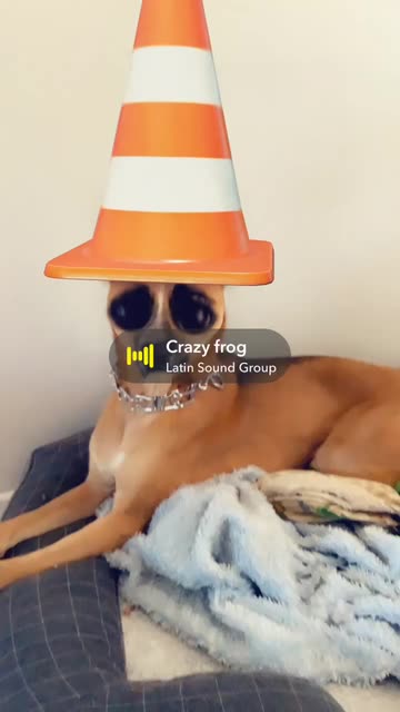 Preview for a Spotlight video that uses the Traffic Cone Lens