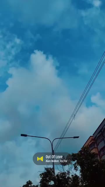 Preview for a Spotlight video that uses the Sunflower Lens