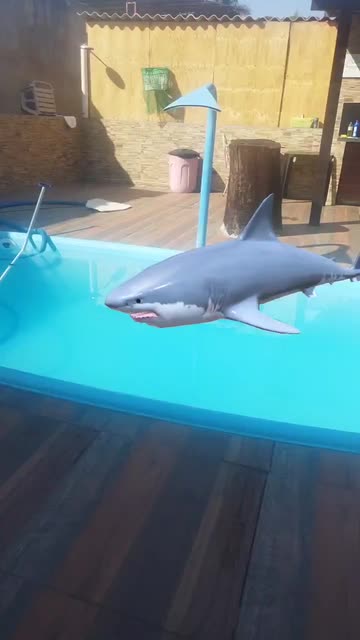 Preview for a Spotlight video that uses the Shark Week IRL Lens