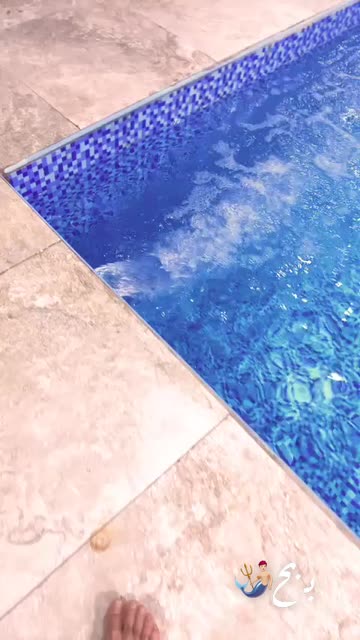 Preview for a Spotlight video that uses the PLANTS Lens