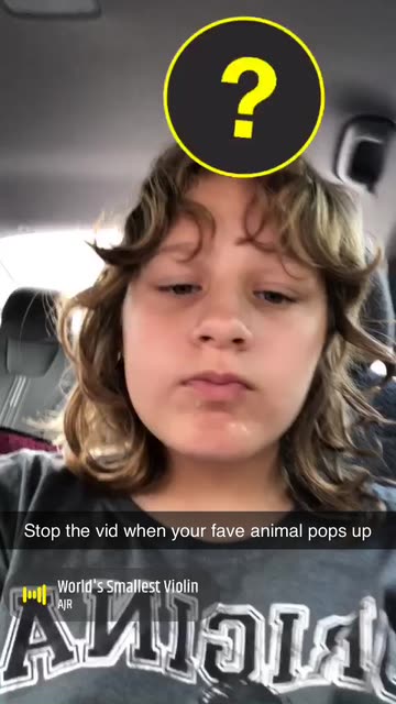 Preview for a Spotlight video that uses the Favorite Animal Lens