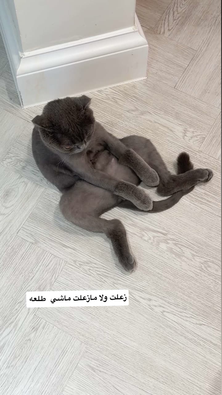 محتوى سناب شات لـ عفرا السويدي 🦋