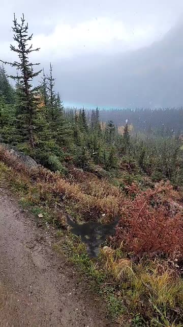 Preview for a Spotlight video that uses the the rock Lens