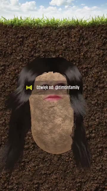 Preview for a Spotlight video that uses the Potato Black hair Lens