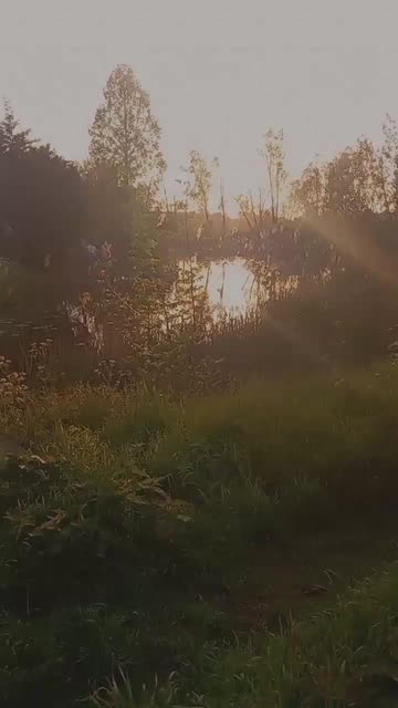Preview for a Spotlight video that uses the Hearts & Love Lens