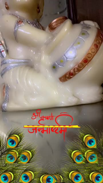 Preview for a Spotlight video that uses the Janmashtami Lens