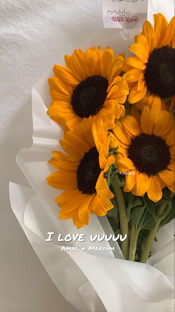قصة سناب شات للحساب e_turkiiii رقم 180
