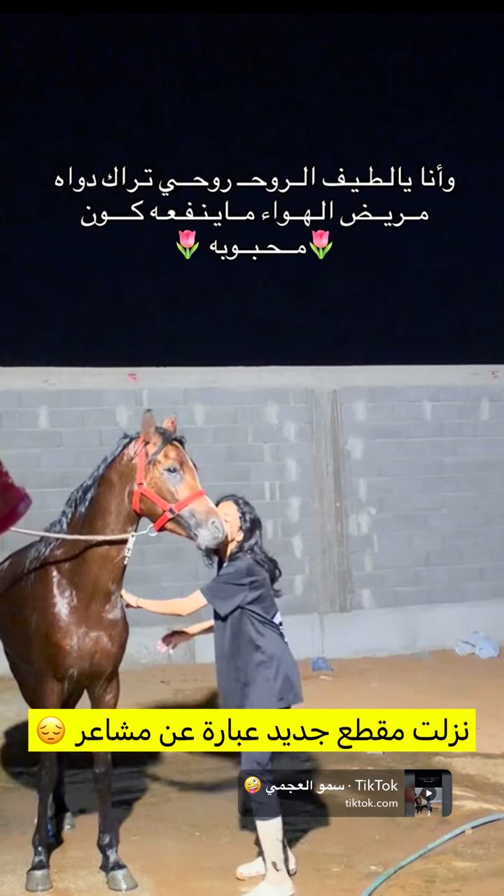 محتوى سناب شات لـ سمو العجمي المغتربة