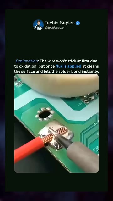 Techie Sapien