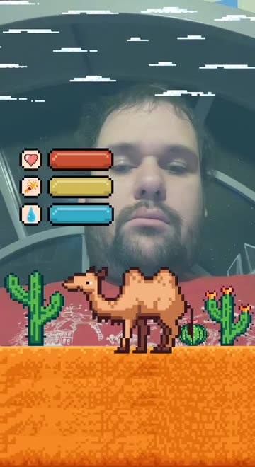 Preview for a Spotlight video that uses the Camel Pet Lens