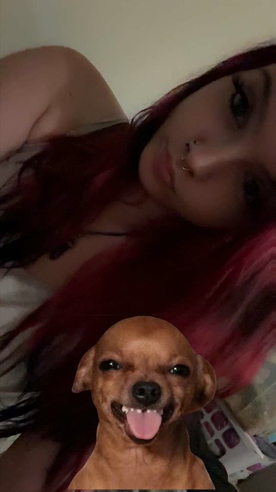 hisfavbih_18