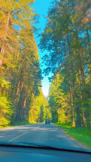 Preview for a Spotlight video that uses the Sunny Scenes Lens
