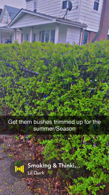 Get them bushes trimmed up for the summer/Season