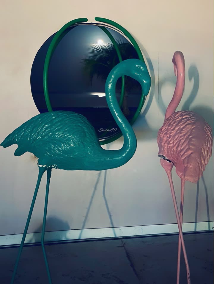 محتوى سناب شات لـ Shatha ♡🦢