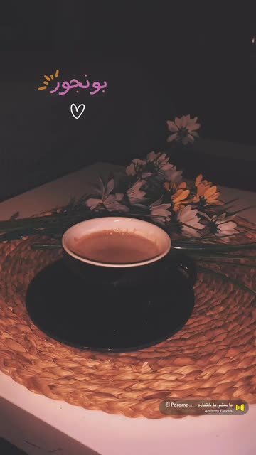 Preview for a Spotlight video that uses the Night Mocha Lens