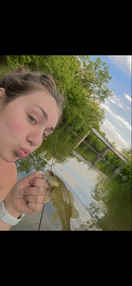 ggbhabie