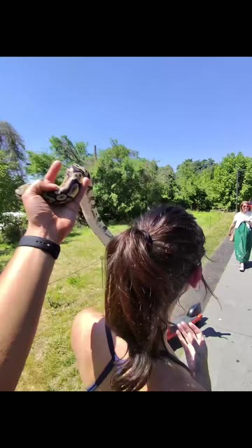 Pet A Python