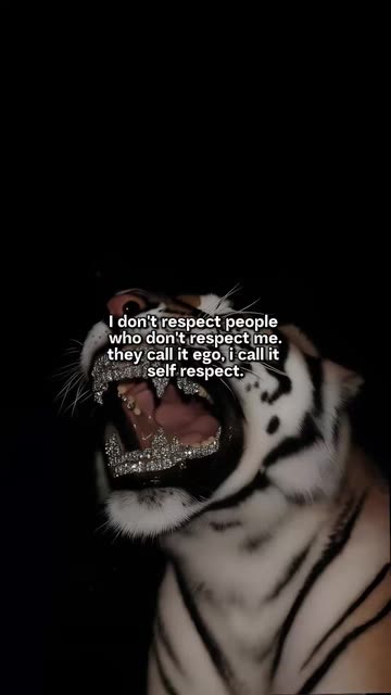 c major lips and tiger growl teeth Suna's Self-Respect Message: A Powerful Visual The largest teeth of any