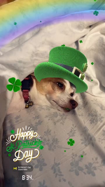 Preview for a Spotlight video that uses the St Patricks Day Lens