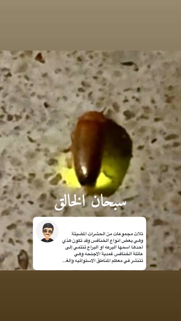 قصة سناب شات للحساب b3der_12 رقم 876