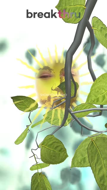 Preview for a Spotlight video that uses the BreakthruSunLeaf Lens