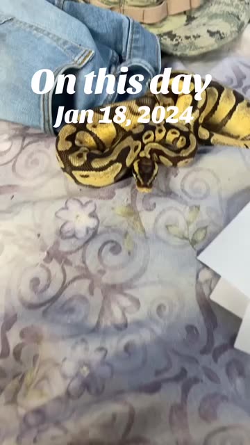 Look At Me!!!🧐