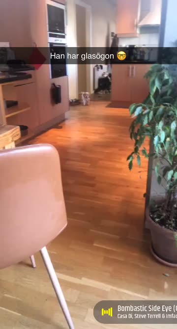 Preview for a Spotlight video that uses the cars glasses Lens