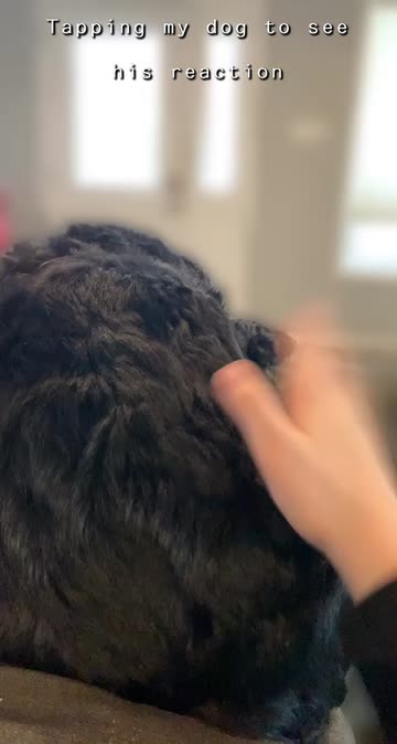 Preview for a Spotlight video that uses the Blurred background Lens