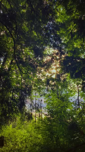 Preview for a Spotlight video that uses the indie filter Lens