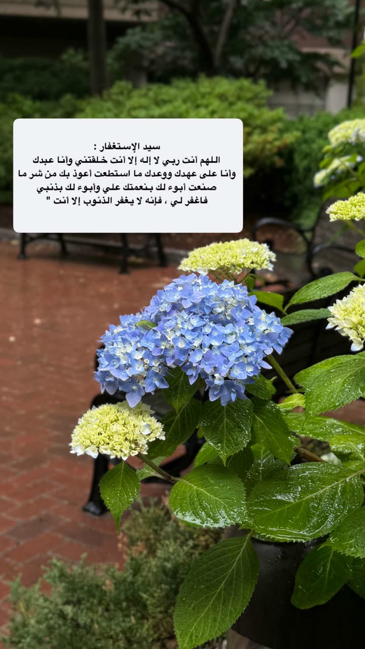 محتوى سناب شات لـ عفرا السويدي 🦋