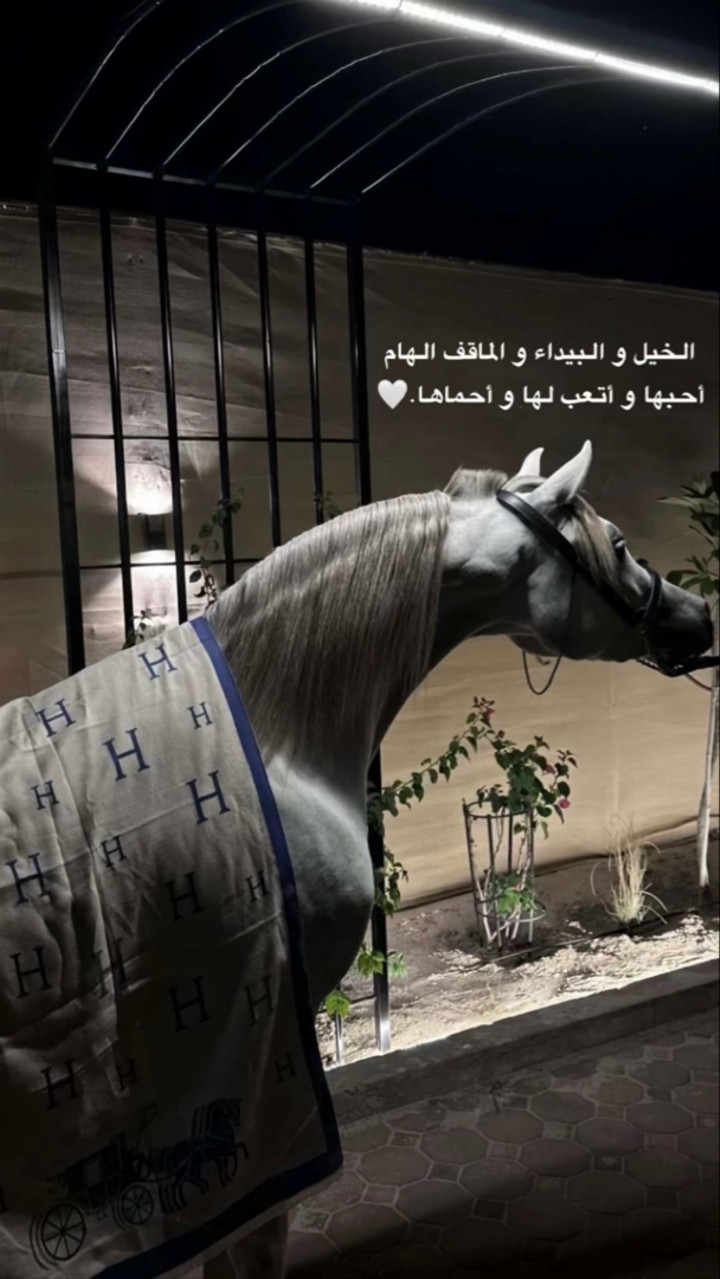 محتوى سناب شات لـ ‏⚖️ ABN AQEEL