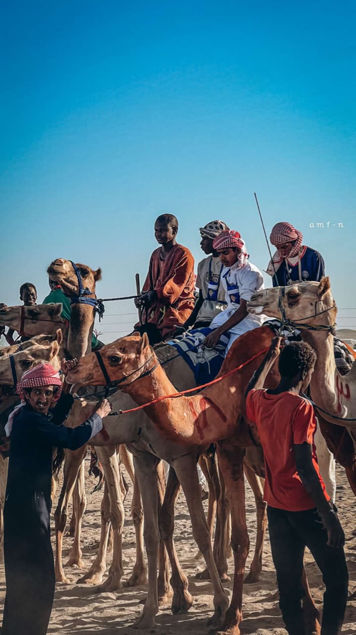 محتوى سناب شات لـ أحمد آل مسعود.