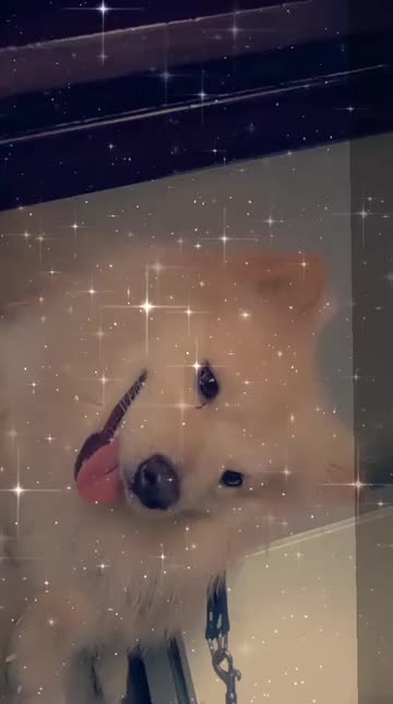 Preview for a Spotlight video that uses the Dust and Stars Lens