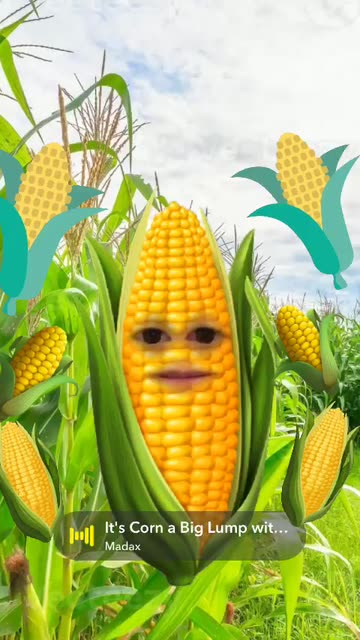 Preview for a Spotlight video that uses the Corn Face Lens